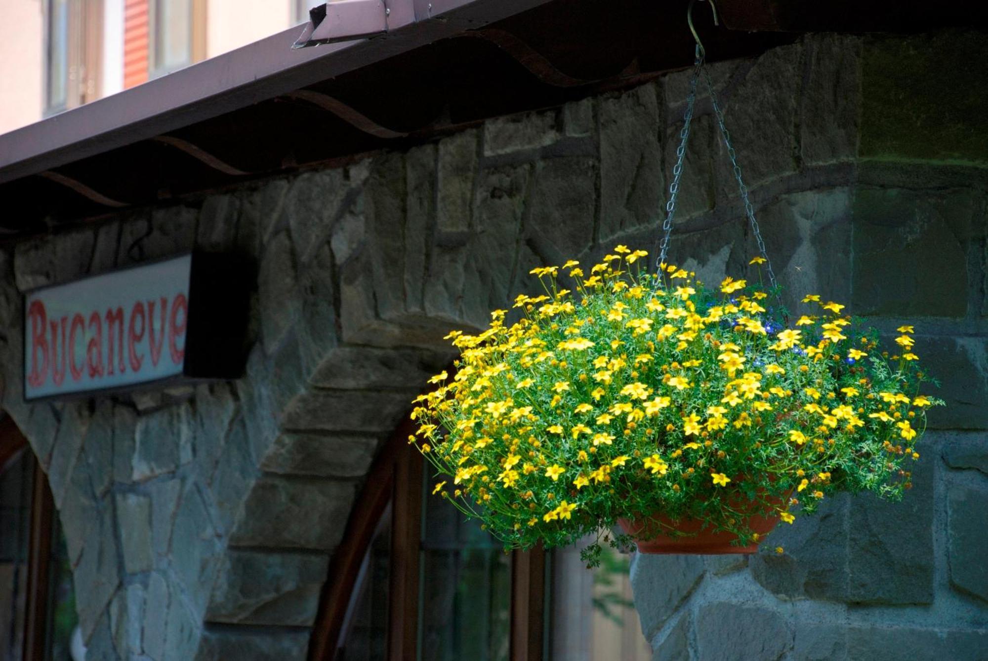 Albergo Bucaneve Pievepelago Extérieur photo